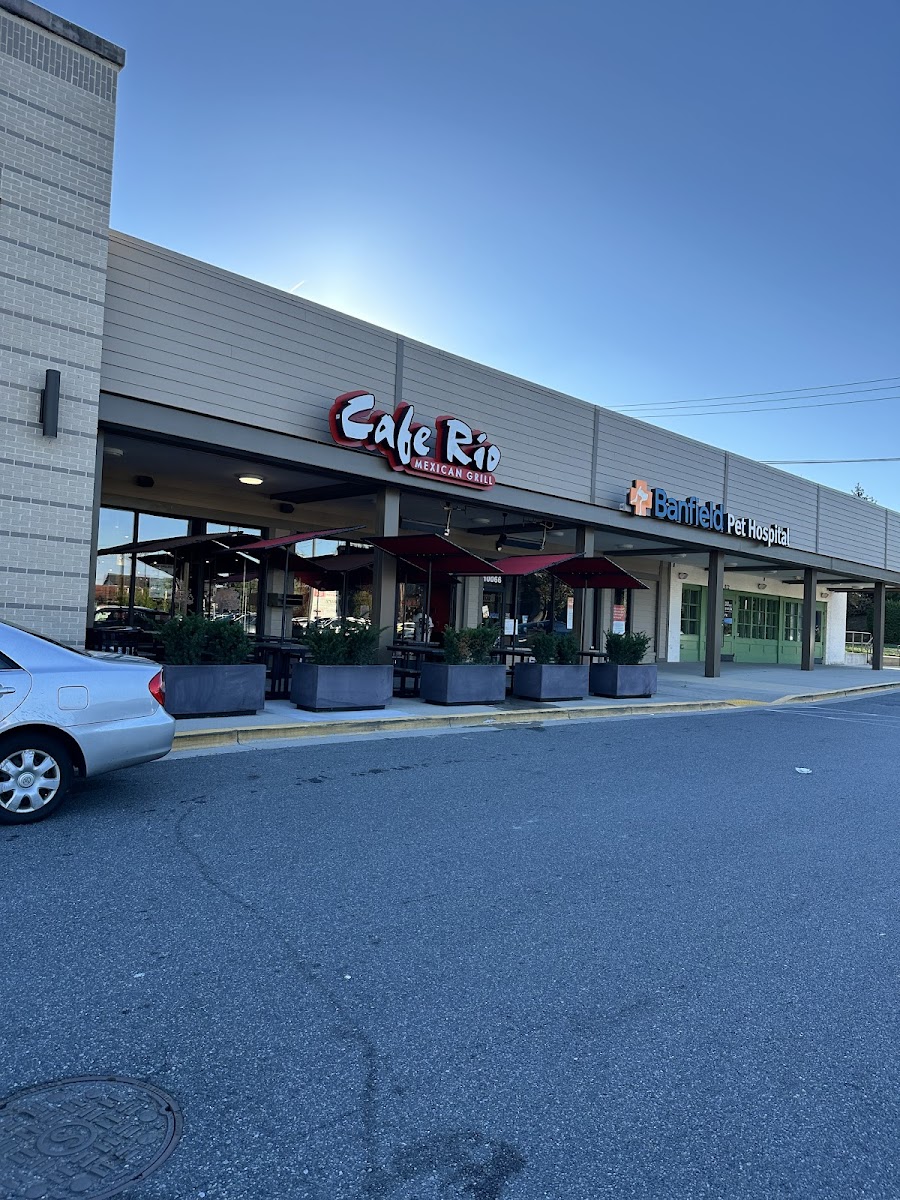 Cafe Rio Fresh Modern Mexican Photos 2